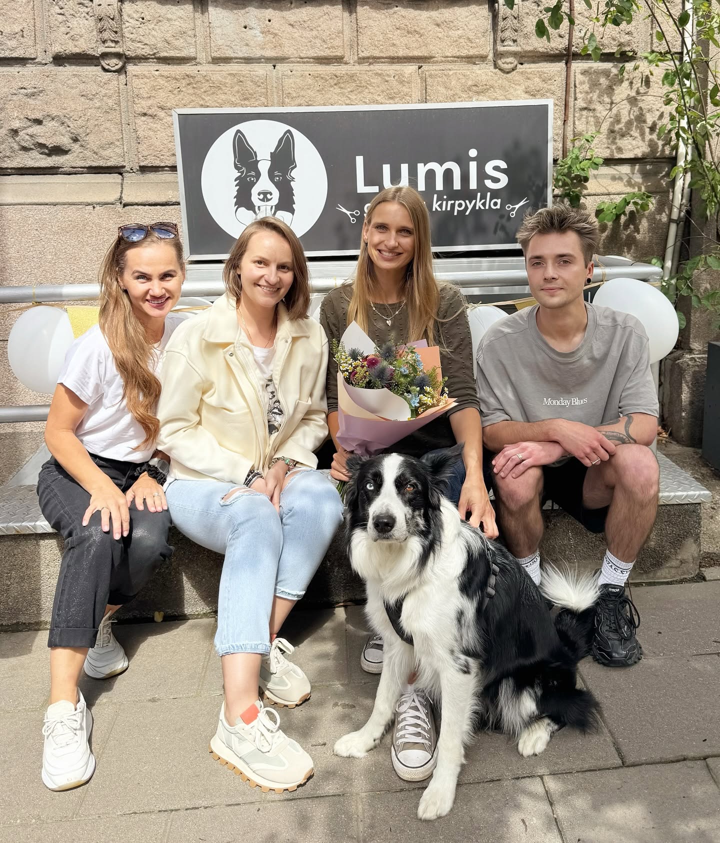 LUMIS - Gyvūnų kirpykla 2