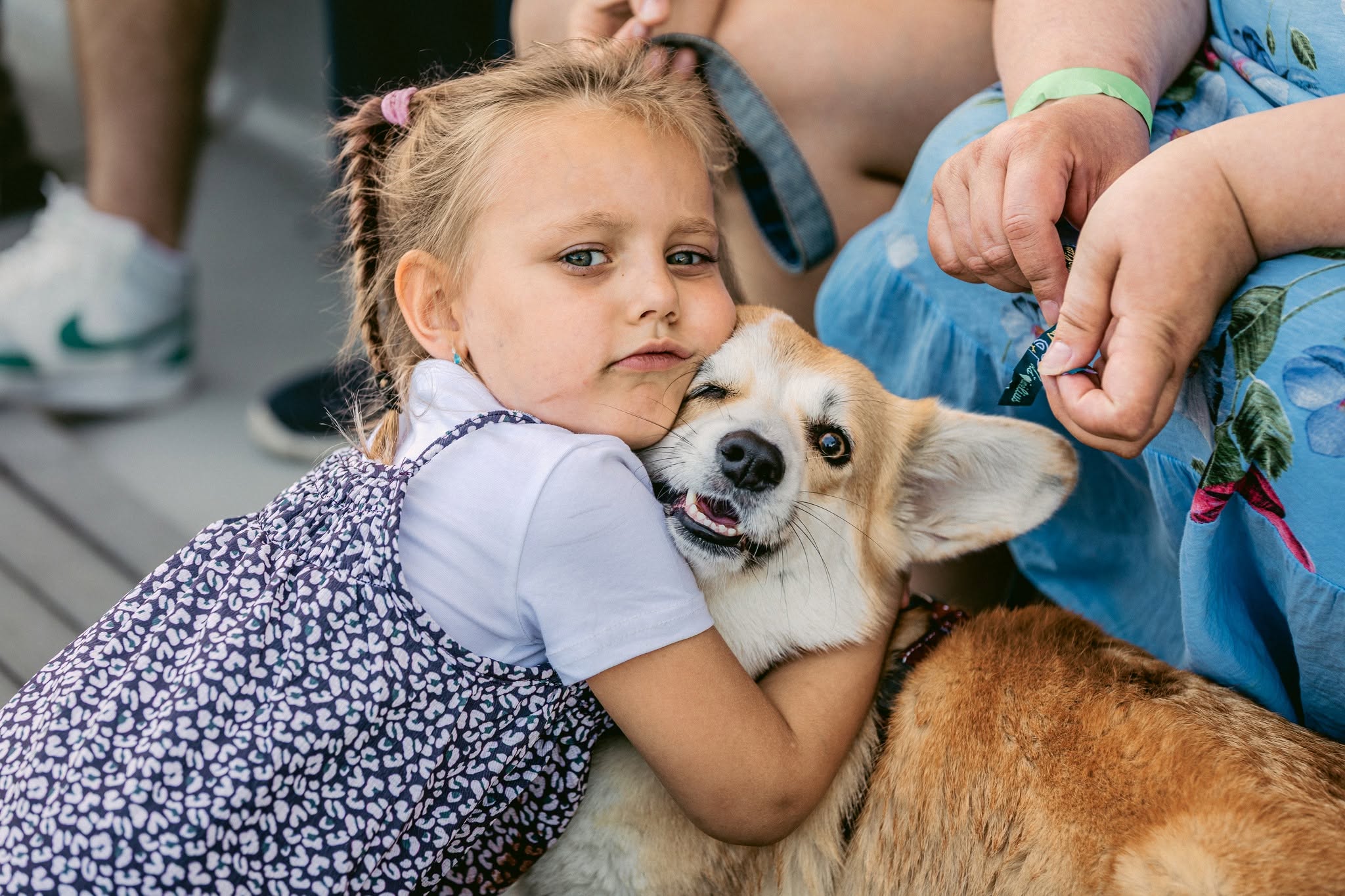 Corgi Race Vilnius 2027