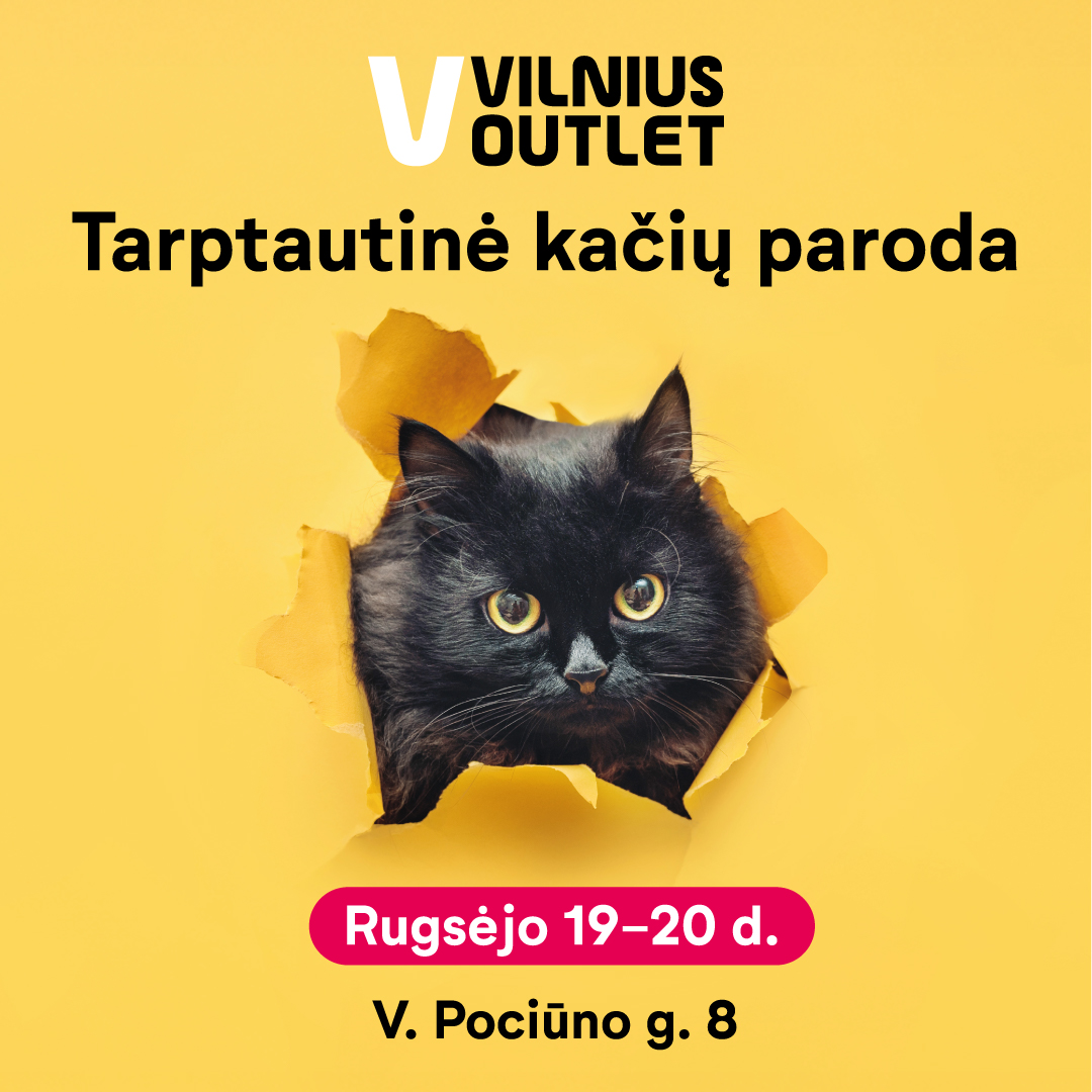 Tarptautinė kačių paroda