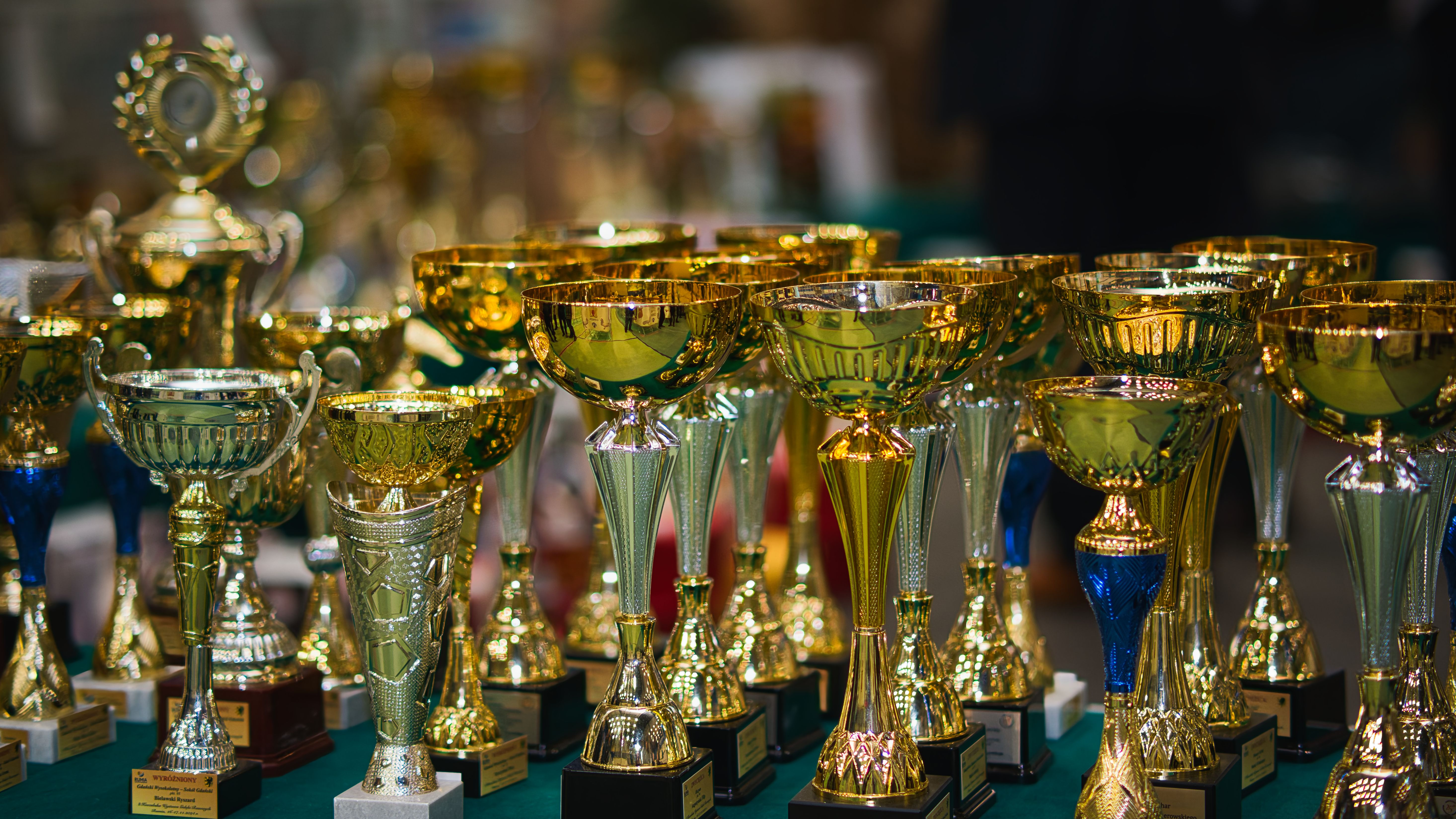 Baltijos terjerų nugalėtojas 2026 - Terjerų čempionatas