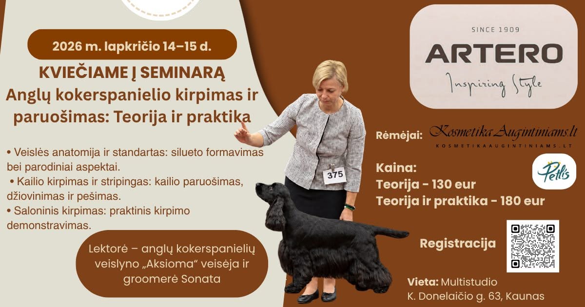 Anglų kokerspanielio kirpimas ir paruošimas (ne parodinis): Teorija ir praktika