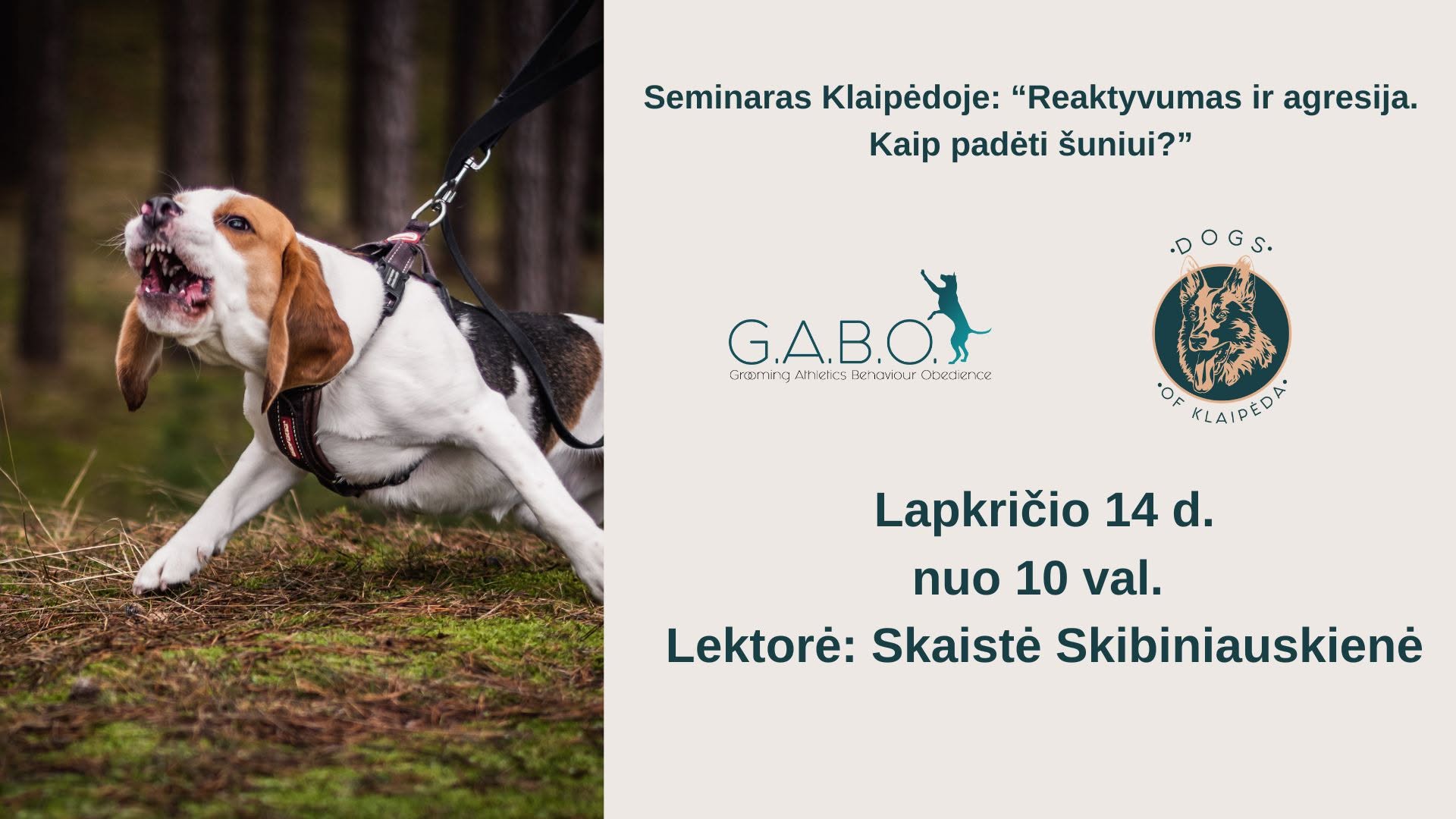 Seminaras Klaipėdoje: Reaktyvumas ir agresija. Kaip padėti šuniui?