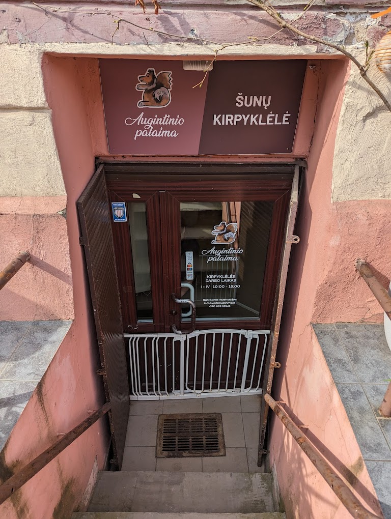 „Augintinio palaima“- šunų kirpykla 1