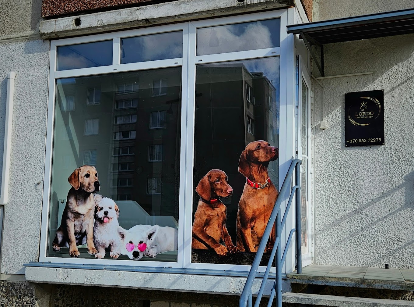 „Lordo Grooming SPA“ - šunų kirpykla 1