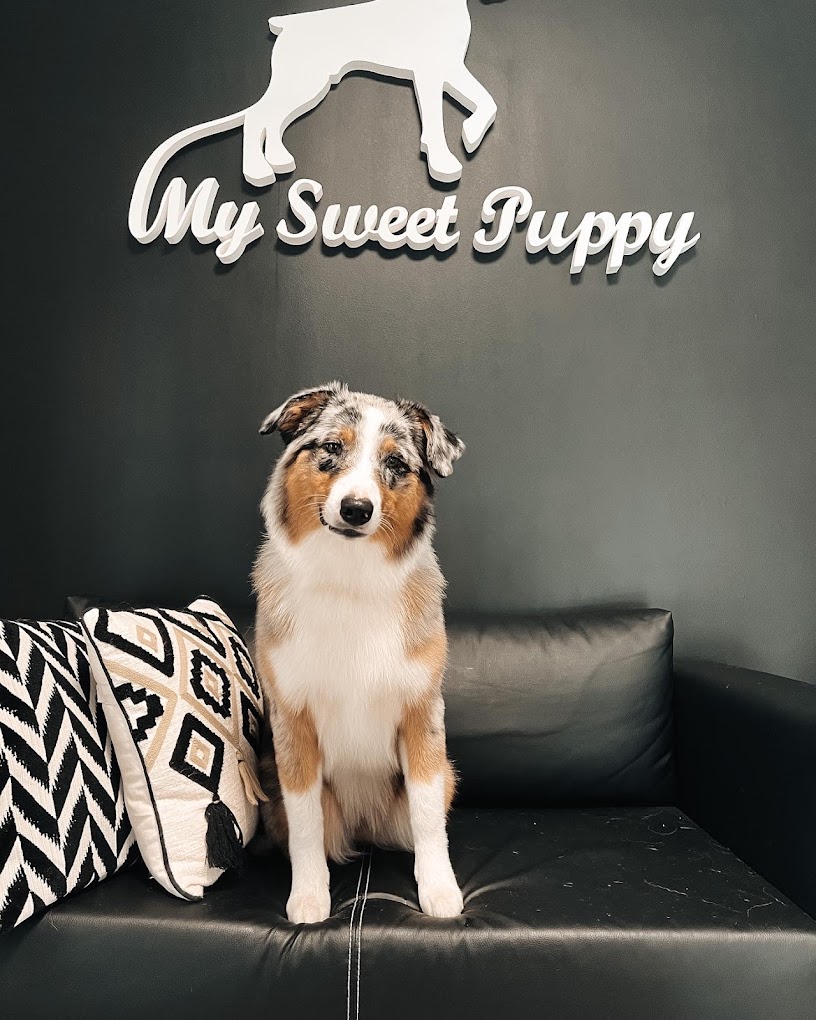 My Sweet Puppy - šunų kirpykla (Minijos g.) 2