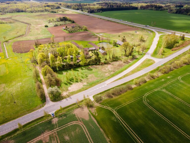 Naminukas - šunų viešbutis ir veislynas 5
